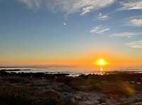 IMG_4005