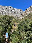 IMG_4219