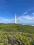 IMG_3965