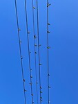 IMG_4095