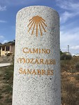 Camino