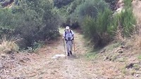 De tocht