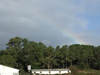 Regenboog