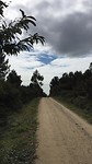 Lange weg