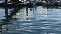 Reflectie