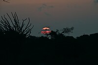 DSC_0570
