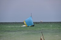 DSC_0430