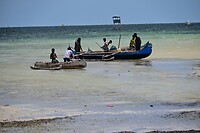 DSC_0411