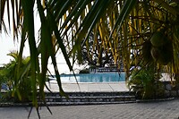 DSC_0450