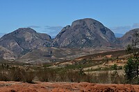 DSC_1111