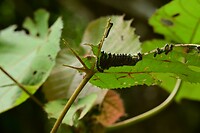 DSC_1580