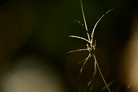 DSC_1559