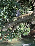 IMG_8917