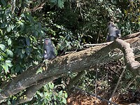 IMG_8918