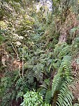 IMG_8915
