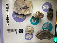In het museum