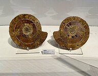 IMG_8989