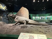 IMG_8975