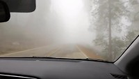 Dag 6. Mist in Sequoia park