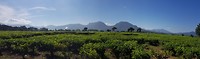 20180627_092956