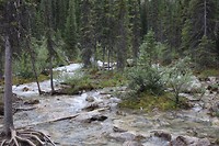 IMG_1612