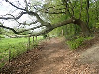 P4230014