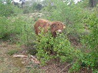 P4240016
