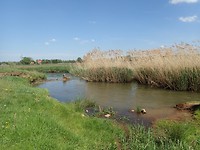 P4240033