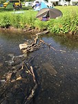 IMG_1331
