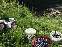 IMG_1338