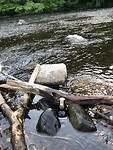 IMG_1339