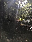 IMG_1297