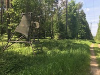 IMG_1309