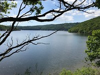 IMG_1319