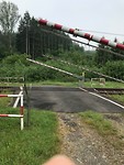 IMG_1446