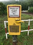 IMG_1448