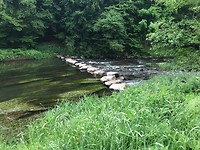IMG_1450