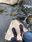 IMG_1455