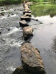 IMG_1457