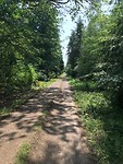 IMG_1485