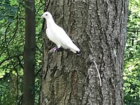 IMG_1491