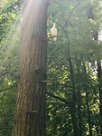 IMG_1494