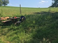 IMG_1565