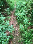 IMG_1584