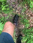 IMG_1585