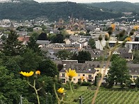 IMG_1647