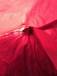 IMG_1675