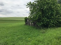 IMG_1865