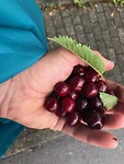 IMG_1897