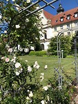 IMG_1946